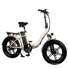 20 Inch Fat Tire Folding Electric Bike with Mag Wheel